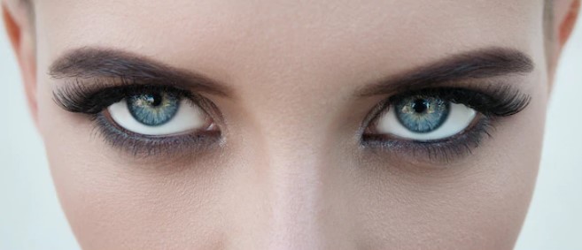 minimal levelator function eyes minimal levelator function eyes